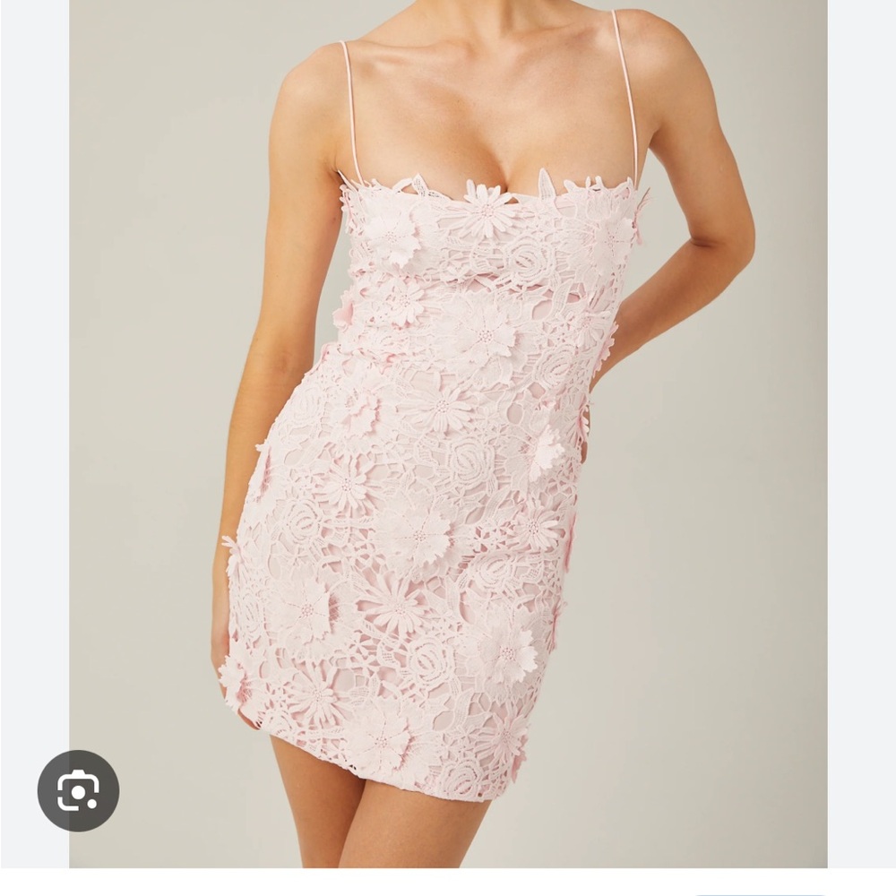 Miss Rosier Lace Mini Dress NEW w/ Tags